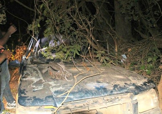 Mãe pediu para filha buscar socorro antes de morrer em acidente no MS
