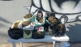 PM apreende 21 quilos de maconha após denúncia em Arapiraca