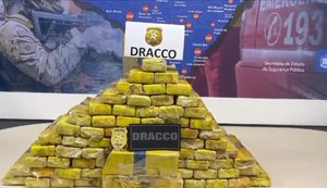 DRACCO apreende 77 kg de maconha, cujo valor é de aproximadamente R$ 300 mil