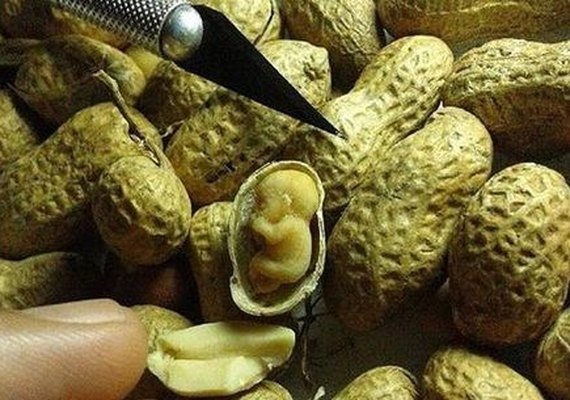 Paranaense Lenonn Bruno cria obras de arte com comida e materiais do cotidiano