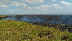 Incêndio atinge vegetação de fazenda em Limoeiro de Anadia