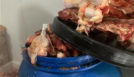Vigilância Sanitária apreende 800 kg de alimentos impróprios para consumo