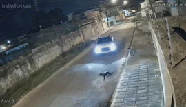 Condutor de carro que atropelou cão de propósito é procurado pela polícia