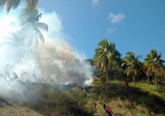 Bombeiros são acionados para apagar incêndio em área de vegetação
