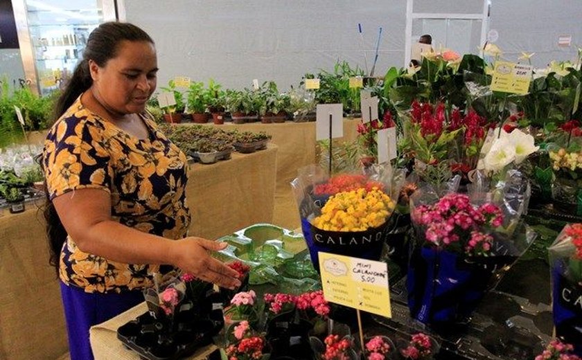 Feira itinerante reúne mais de 60 espécies de flores em Maceió