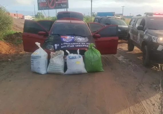 PM apreende 35 kg de maconha que seriam transportados para Marechal Deodoro