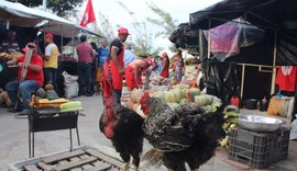 Feira da Reforma Agrária reúne 180 camponeses na Praça da Faculdade