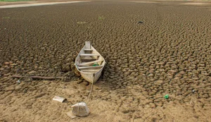 Brasil promete restaurar 163 mil km² de terras degradadas até 2030