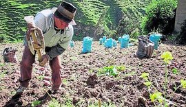 Peru lança programa de fortalecimento das cooperativas agrícolas