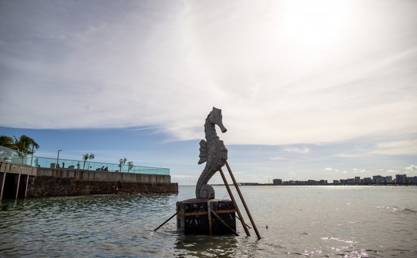 Cavalo-marinho símbolo do Alagoinha volta à Ponta Verde para resgatar história do local