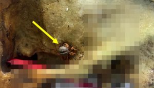 Polícia Científica conclui exames em crânio encontrado em açude de Mar Vermelho