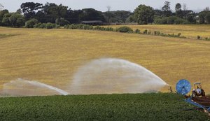 Comissão debate uso de remineralizadores de solo para substituir fertilizantes importados