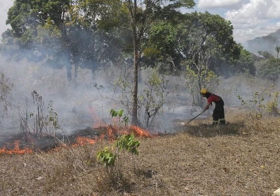 Aumentam registros de focos de incêndios em Alagoas