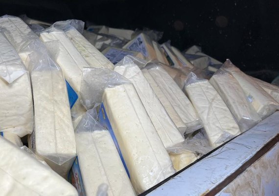 Fiscalização flagra laticínio e pocilga clandestinos em Major Izidoro; 1 tonelada apreendida