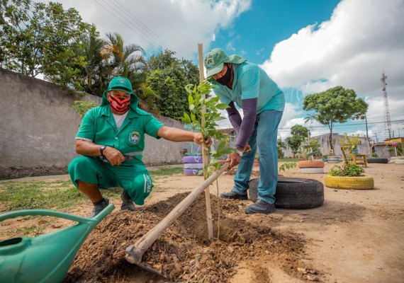 Desenvolvimento Sustentável realizou o plantio de seis mil mudas de árvores na capital