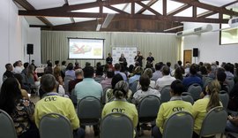 CVC anuncia mais de 90 mil assentos e voos para Maceió