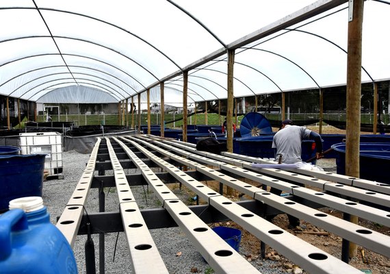 Seris entrega projetos de ressocialização que devem gerar renda e reduzir a reincidência criminal