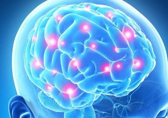 Neuronutriente pode ajudar crianças em fase escolar, apontam pesquisas