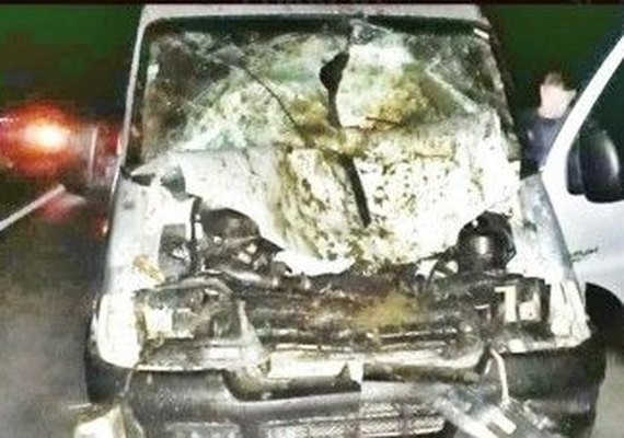 Van colide com cavalo e um homem fica ferido