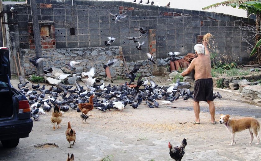 No Barro Duro, contador alimenta pombos e considera ato um ‘presente de Deus’