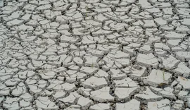 Estiagem: quinze cidades têm situação de emergência decretada