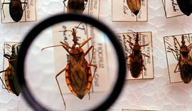 Doença de Chagas: Brasil contabiliza cerca de 4.500 mortes por ano