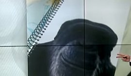 Polícia Civil investiga denúncia de racismo em sala de aula