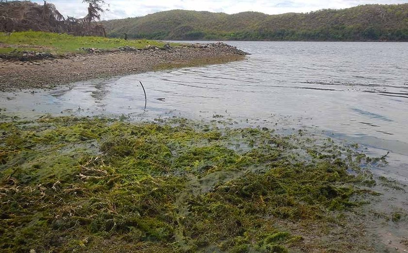 Vazão do Rio São Francisco desce a 680 m³/s