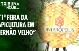1ª Feira da Apicultura em Fernão Velho reúne produtores, ciência e venda direta