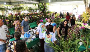 Exposição de orquídeas e bromélias põe à venda mais de seis mil plantas