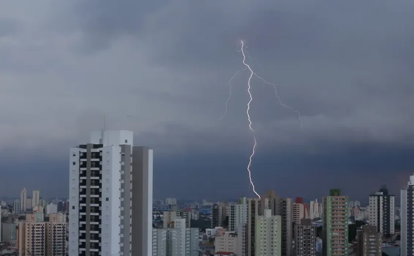 SP registra desabamentos e quedas de árvore por chuva forte