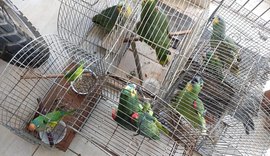 Operação apreende 178 aves silvestres e emite mais de R$ 50 mil em multas