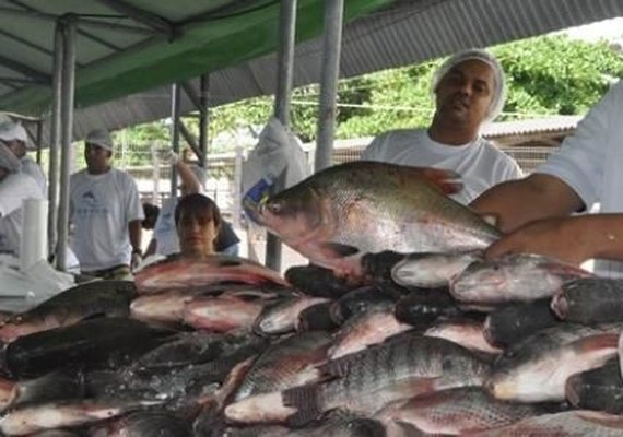 Piscicultores alagoanos comemoram aumento de vendas
