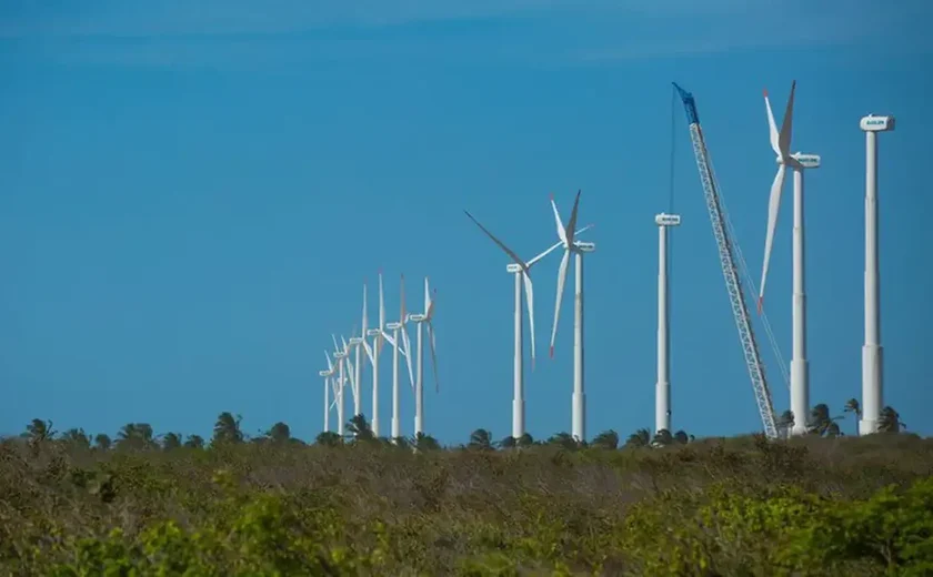 Nordeste tem segundo recorde consecutivo de geração de energia eólica