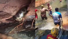 Sucuri precisou ser carregada por cinco homens para ser retirada de balneário em Rio Quente