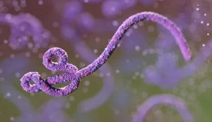 São Paulo investiga 2° caso suspeito de ebola em paciente de 31 anos
