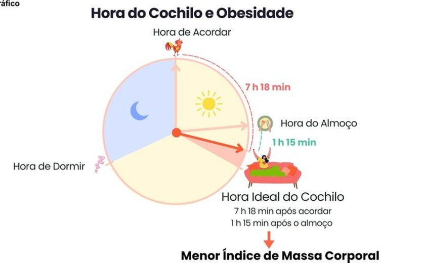 Pesquisa identifica horário do cochilo associado a menor peso corporal