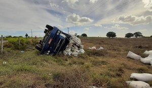 Caminhão carregado de palha de arroz tomba na AL-115 e duas pessoas ficam feridas