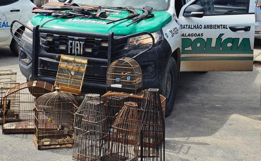PM apreende em Matriz do Camaragibe sete armas, armadilhas e aves silvestres