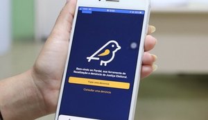 Pardal está no ar: aplicativo permite denunciar irregularidades de campanha