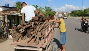 Fogueira: cresce procura por madeira