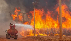 Mais de 80% dos focos de calor em São Paulo estão em áreas de agropecuária