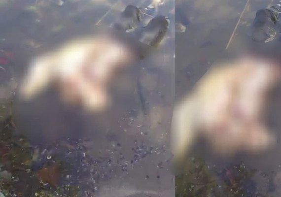 Jovem desaparecido é encontrado morto às margens da Lagoa Mundaú em Maceió