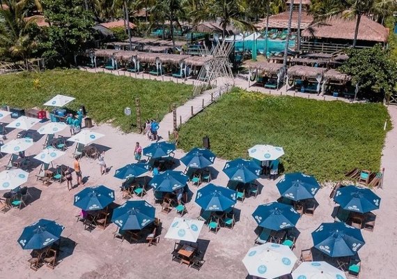 Beach club na praia do Toque vai inaugurar o maior portal de eucalipto tratado da América do Sul