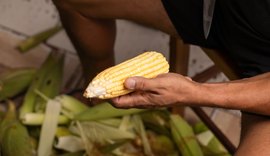 Comidas típicas carregam histórias e mantêm viva a tradição do São João