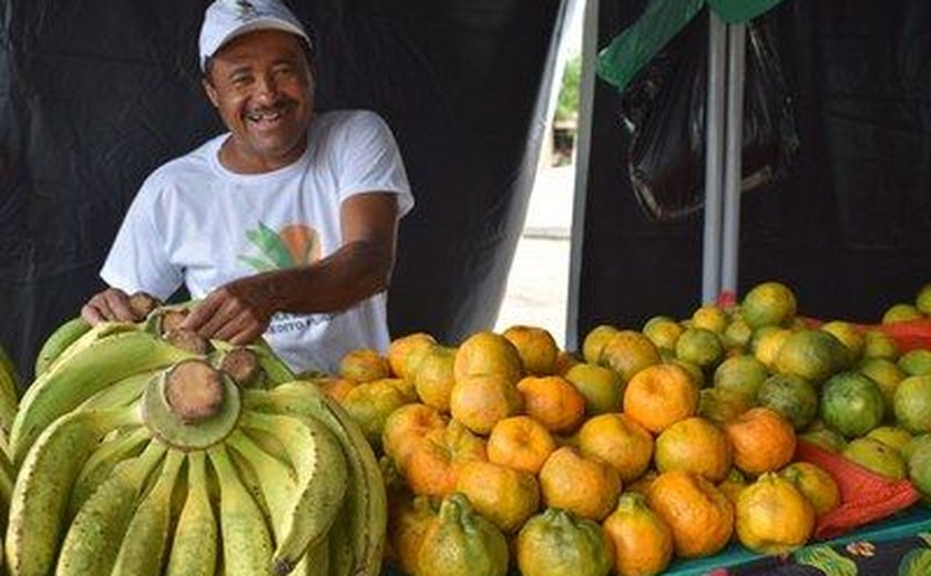 Feira Agrária do Crédito Fundiário exalta produção agrícola quilombola
