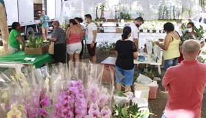 II Edição da Feira de Orquídeas e Bromélias comercializa 10 mil espécies de plantas