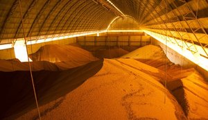 Estimativa para safra de cereais, leguminosas e oleaginosas sofre redução de 0,6% em maio