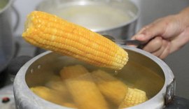 Milho: cereal cada vez mais presente na mesa dos brasileiros