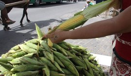 Com proximidade de festas juninas, preço do milho assusta consumidor maceioense